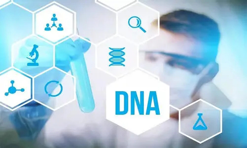 贵阳个人办理DNA鉴定需要如何做,贵阳DNA亲子鉴定办理流程